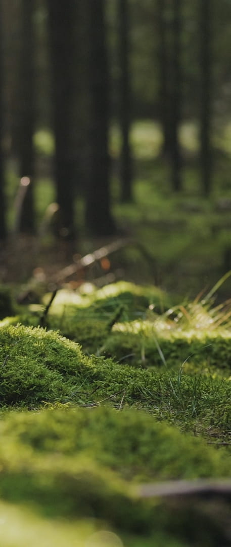Leg uw uitvaartwensen vast campagne